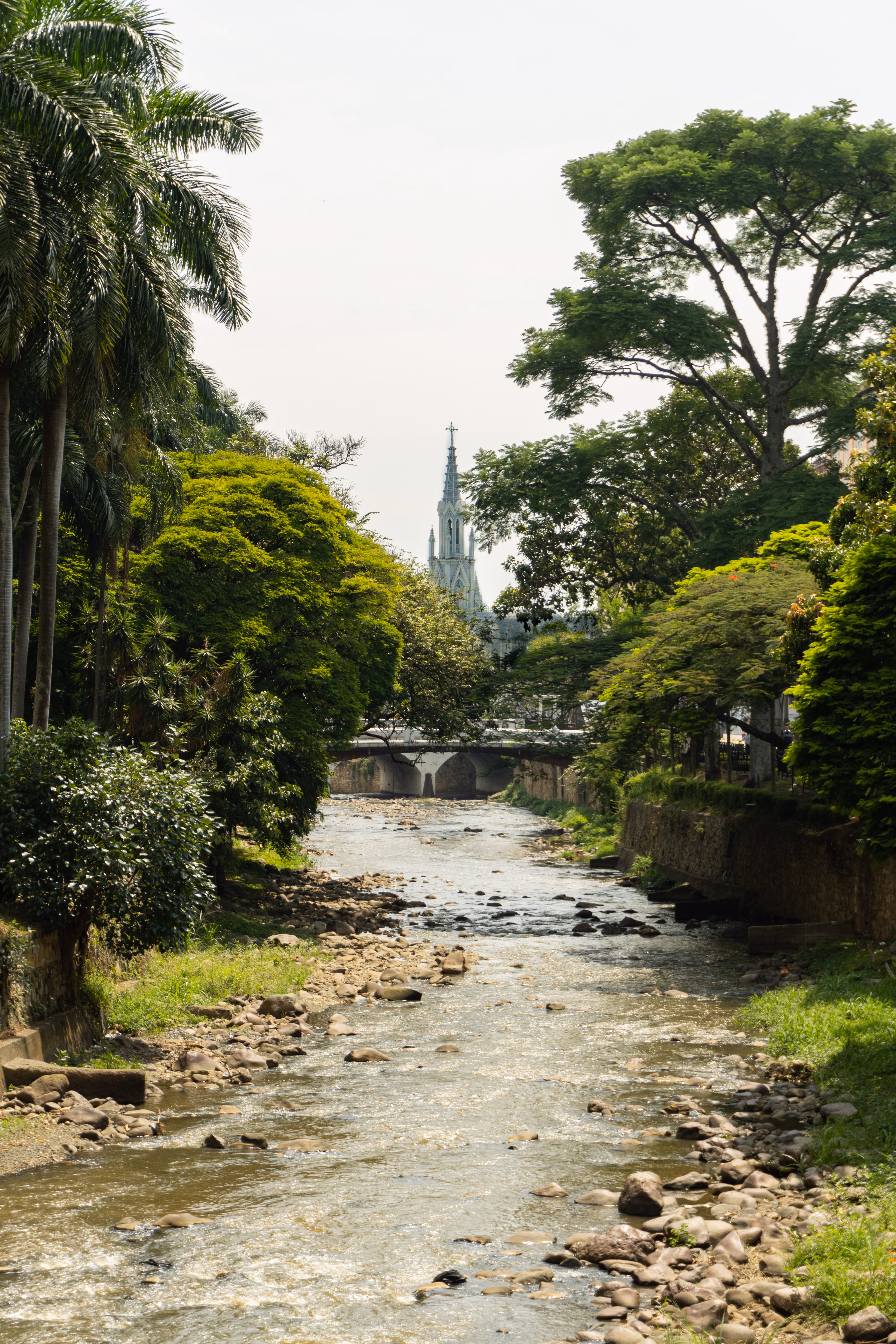 Buga (Valle del Cauca)